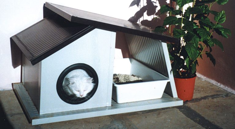 Cuccia per gatti da esterno fai da te | Come costruirla con materiale di recupero