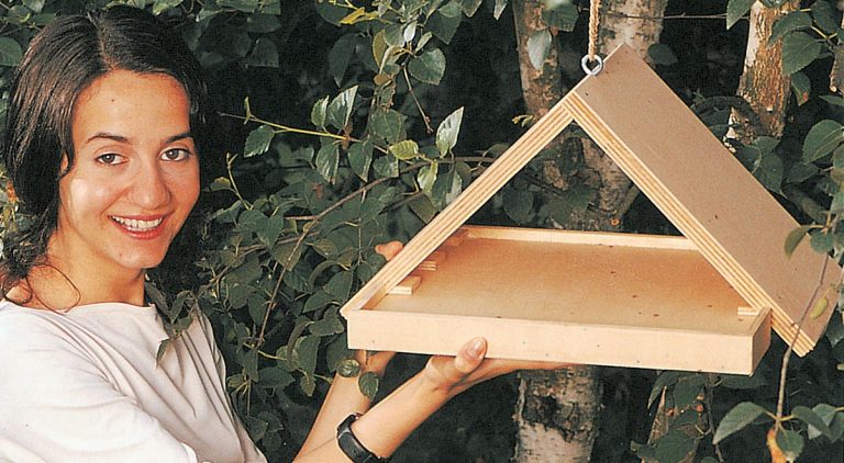 Mangiatoia per uccelli fai da te in legno | Come costruirla in pochi passaggi