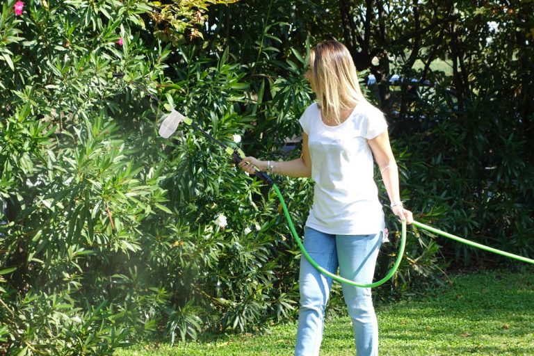 Irrorare 100 m² di piante in un solo minuto | Ecco come si fa