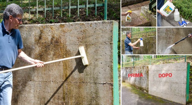 Come risanare muro umido da alghe, muffe, licheni e depositi di smog