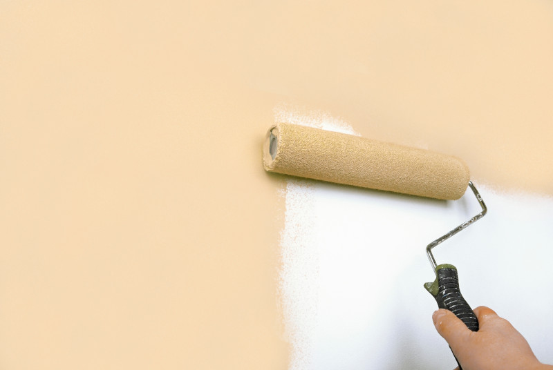idropittura per interni