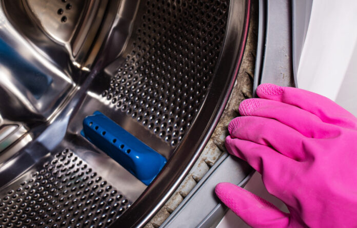 come rimuovere muffa dalla lavatrice come rimuovere muffa dalla lavatrice